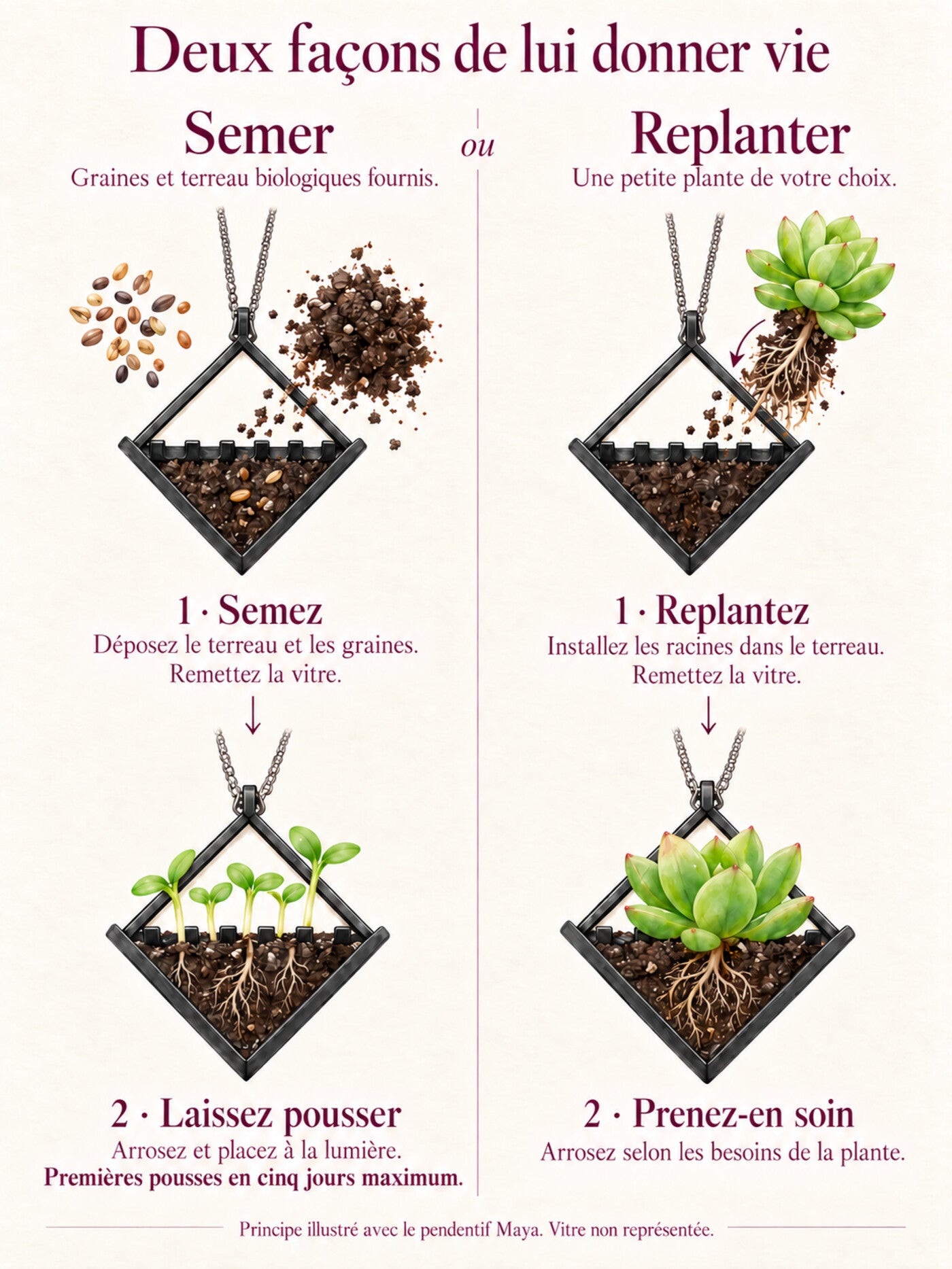 Deux façons de donner vie au bijou : semer les graines dans le terreau biologique fourni, arroser et placer à la lumière pour les premières pousses en cinq jours maximum ; ou replanter une petite plante avec ses racines et l’arroser selon ses besoins.